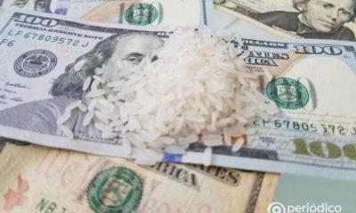Empresa estatal vende fertilizantes en dólares en medio de la crisis en el agro cubano