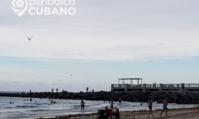 Niño de 9 años trasladado al hospital tras ser mordido por un tiburón Miami-Beach