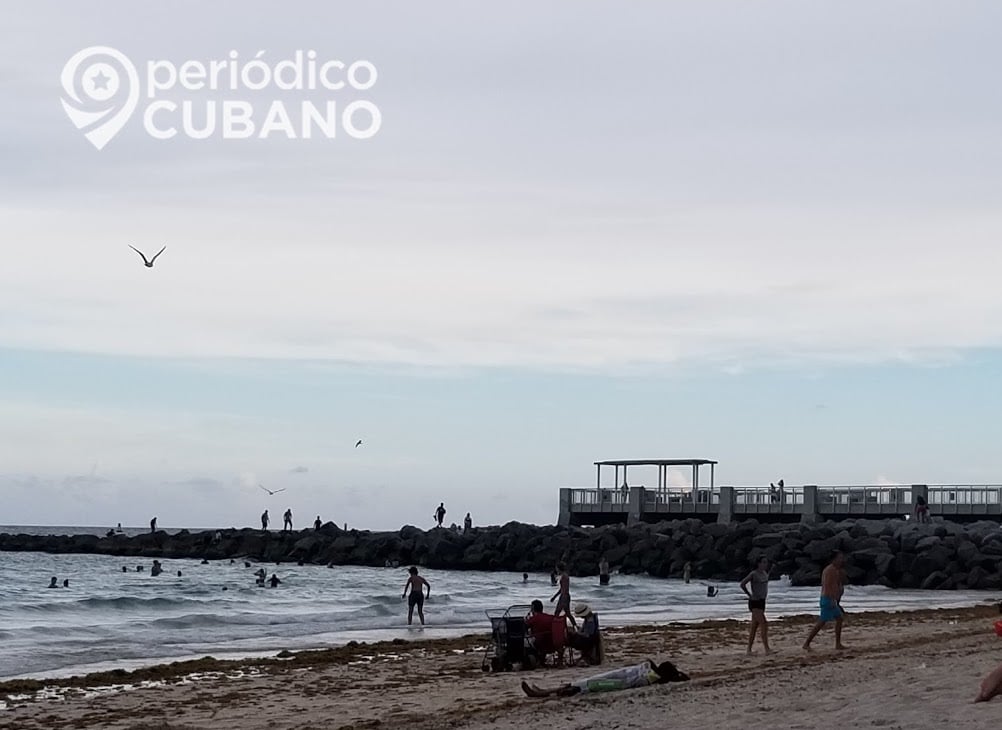 Niño de 9 años trasladado al hospital tras ser mordido por un tiburón Miami-Beach