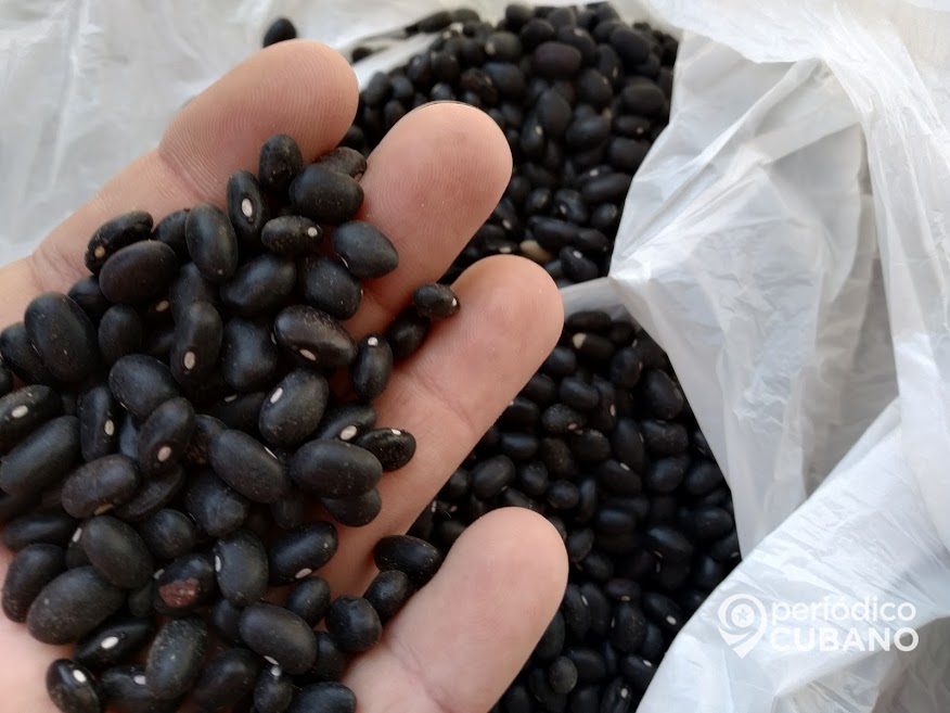 cuba culpa a estados unidos de su crisis alimentaria