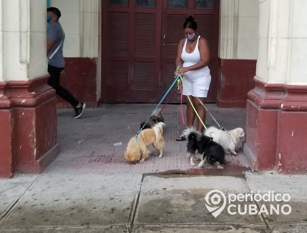 Vacío legal en Cuba impide que feminicidios se reconozcan como el grave problema que son