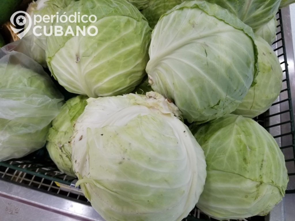 Campesino cubano denuncia responsabilidad de Acopio en la perdida de sus productos