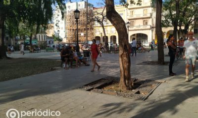 Estadísticas oficiales muestran que el 64% de los cubanos tiene acceso a Internet