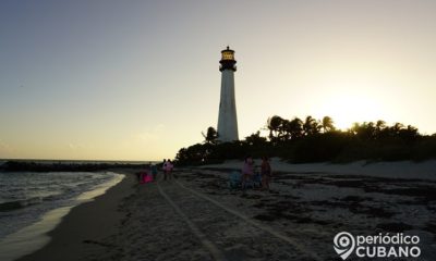 Un nadador fue mordido por un tiburón en aguas cercanas a Key Biscayne