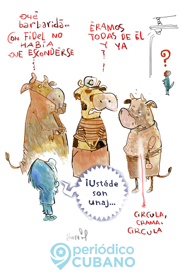 garrincha-ganado-vacuno-cuba-diaz.canel