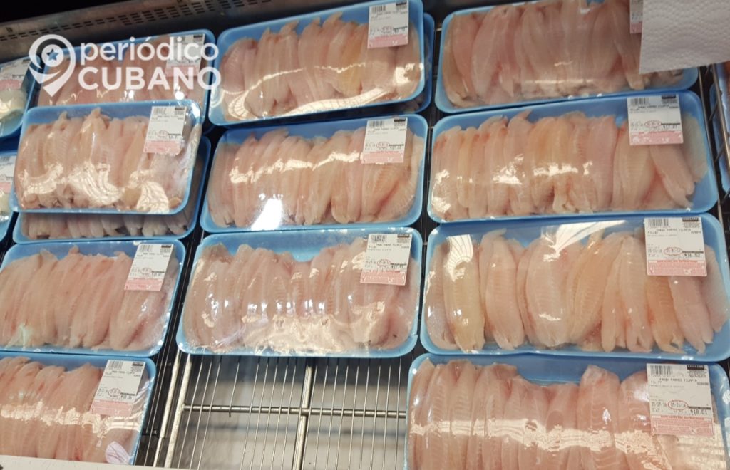 Ciego de Ávila: exportaciones por debajo en el primer trimestre