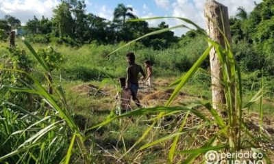 Incendios forestales hectáreas perdidas Cuba