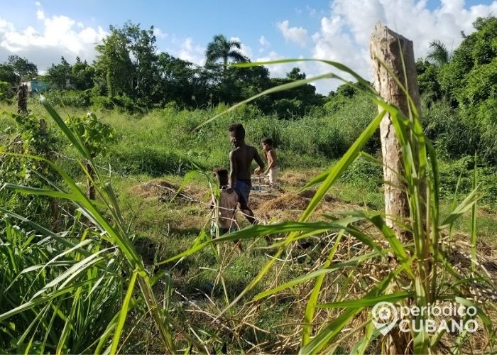 Incendios forestales hectáreas perdidas Cuba