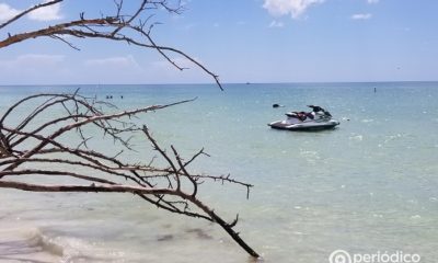 ¿Vacaciones en la playa?, Cancún ofrece excursiones para conocer y divertirse en el Caribe