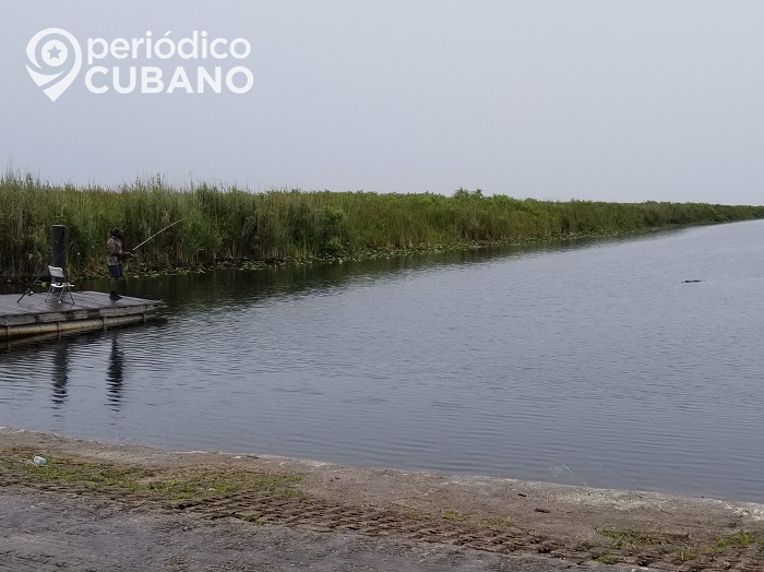 Identifican a las niñas que encontraron muertas en un canal de Broward