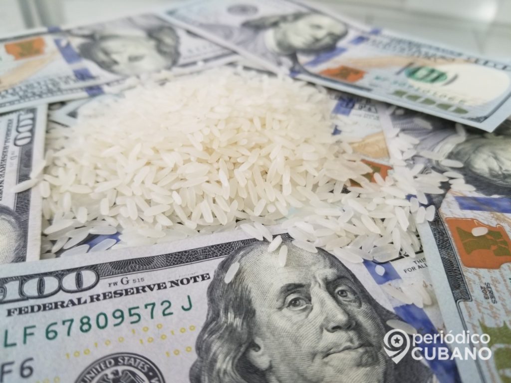 Reconocen fracaso de la agricultura cubana No hay arroz porque todo subió de precio