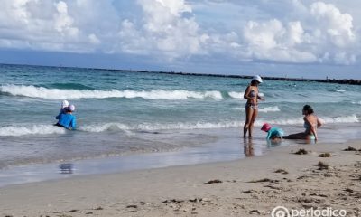 Tiburón martillo se acerca peligrosamente a la orilla en una playa de Florida