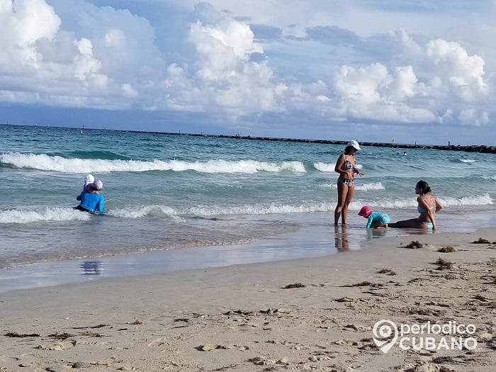 Tiburón martillo se acerca peligrosamente a la orilla en una playa de Florida