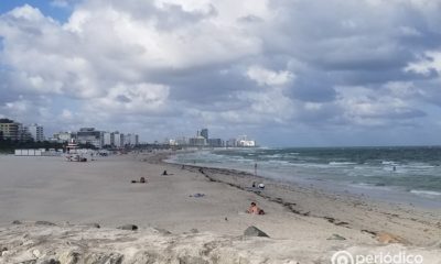 Tiburones se acercaron a tres bañistas en Miami-Dade