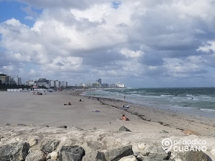 Tiburones se acercaron a tres bañistas en Miami-Dade