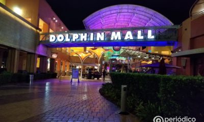 ¿Vas de compras al Dolphin Mall en Miami? ¡Cuidado con los caimanes!