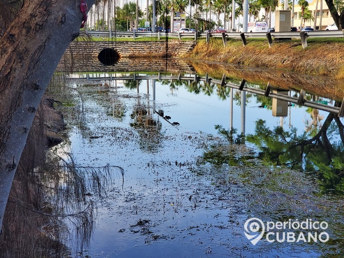 Anciana de más de 70 años se lanza a un canal de Hialeah