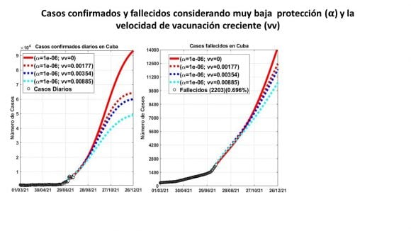 Grafico casos