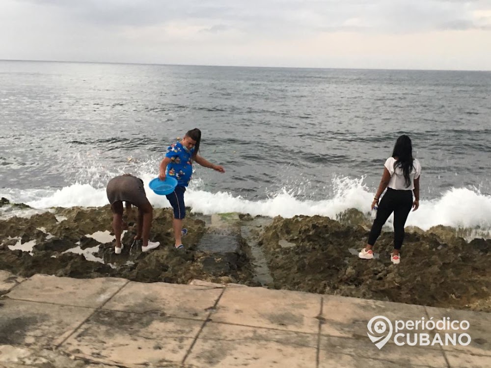 Más de 500 multas son aplicadas en las playas de La Habana por “violar medidas sanitarias”