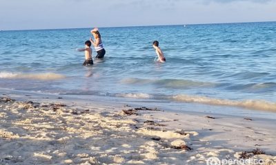 Niño fue mordido por un tiburón en una playa del condado de Volusia