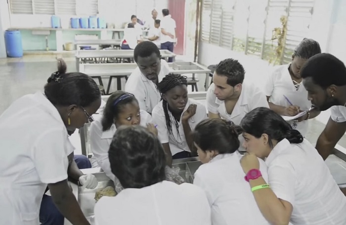 Exigen al Gobierno sudafricano repatriar a estudiantes de Medicina varados en Cuba