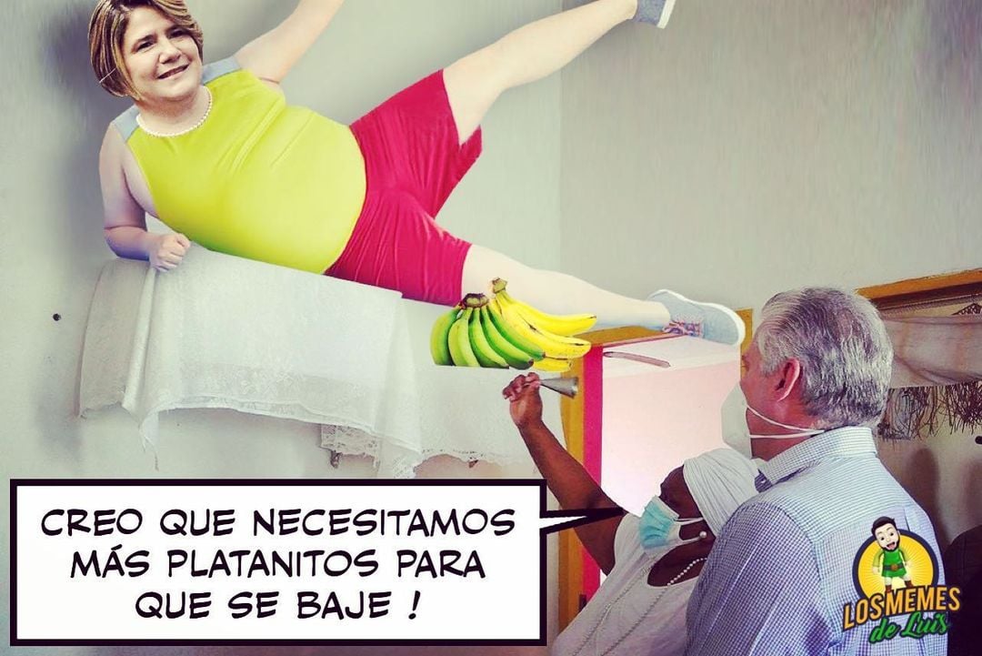 Los Meme de Luis