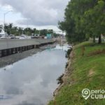 Canal de Hialeah es un foco de infección por la abundante basura