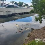 Canal de Hialeah es un foco de infección por la abundante basura