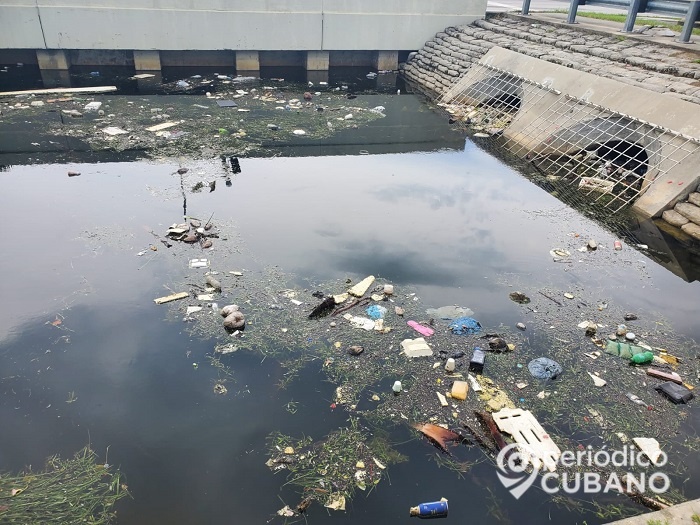 Canal de Hialeah es un foco de infección por la abundante basura