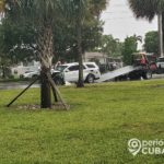 Vehículo pierde el control y tira varios árboles en una calle de Hialeah