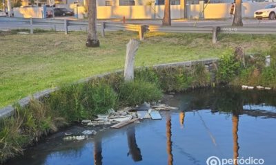 Canal de Hialeah lleno de basura y con árboles cortados. (Imagen de referencia: Periódico Cubano)