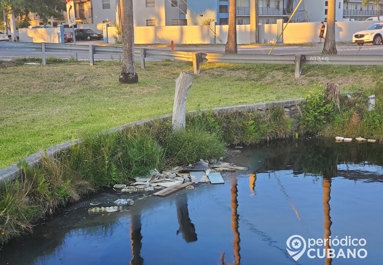 Canal de Hialeah lleno de basura y con árboles cortados. (Imagen de referencia: Periódico Cubano)