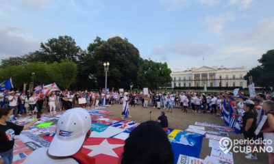 cubanos frente a la casa blanca (7)