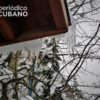 Nieve invierno frío. (Periódico Cubano)