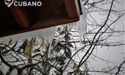 Nieve invierno frío. (Periódico Cubano)