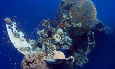 Parque submarino de Miami. (Captura de pantalla Buildings of the world-YouTube)