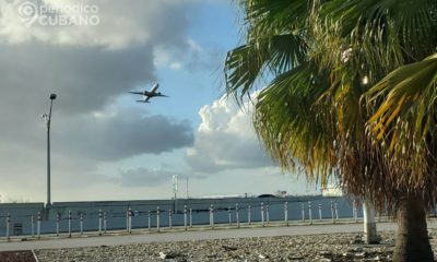 Aruba Airlines revela calendario oficial de vuelos a Nicaragua y Guyana en febrero