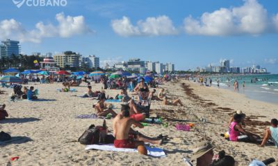 Autoridades de Miami Beach anuncian medidas para garantizar la seguridad en el “Spring Break”