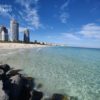 Guardacostas alertan a vacacionistas sobre la presencia de medusas en playas de Miami