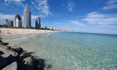 Guardacostas alertan a vacacionistas sobre la presencia de medusas en playas de Miami