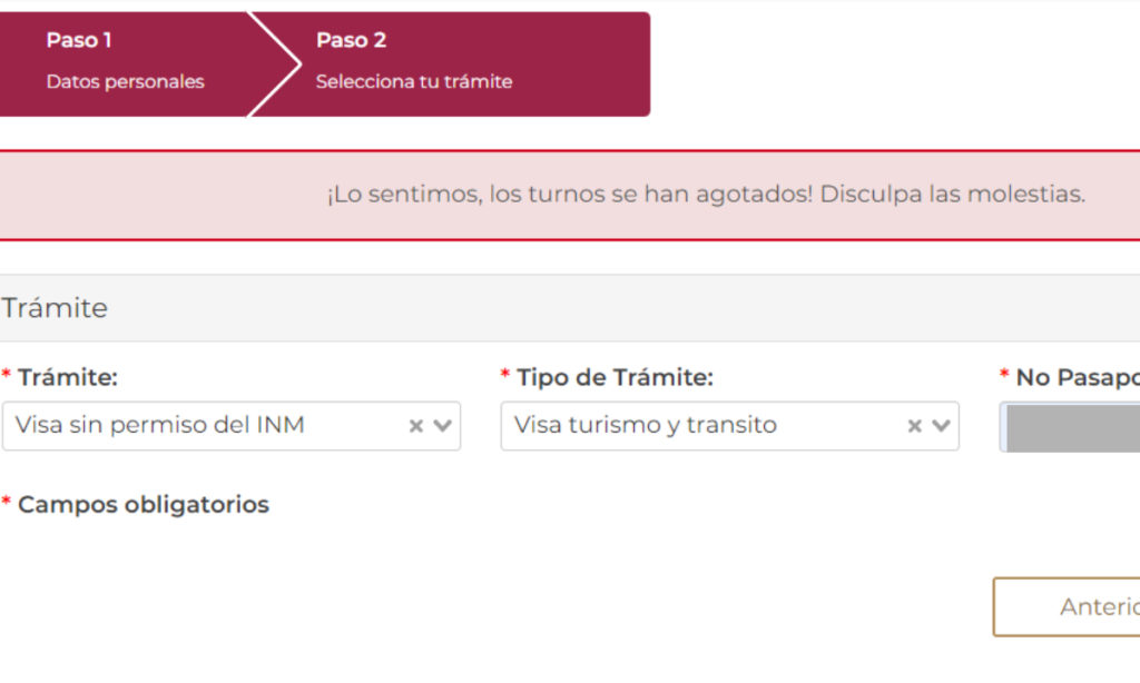 Hoy entra en vigor la página citas para visas a México (2)