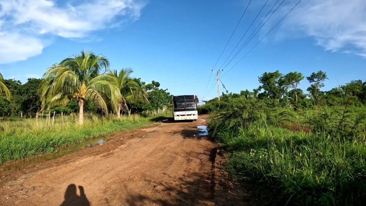 Campos en Cienfuegos
