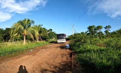 Campos en Cienfuegos