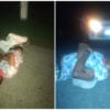 Chofer auxilió a un cubano que se durmió sobre una carretera de Las Tunas