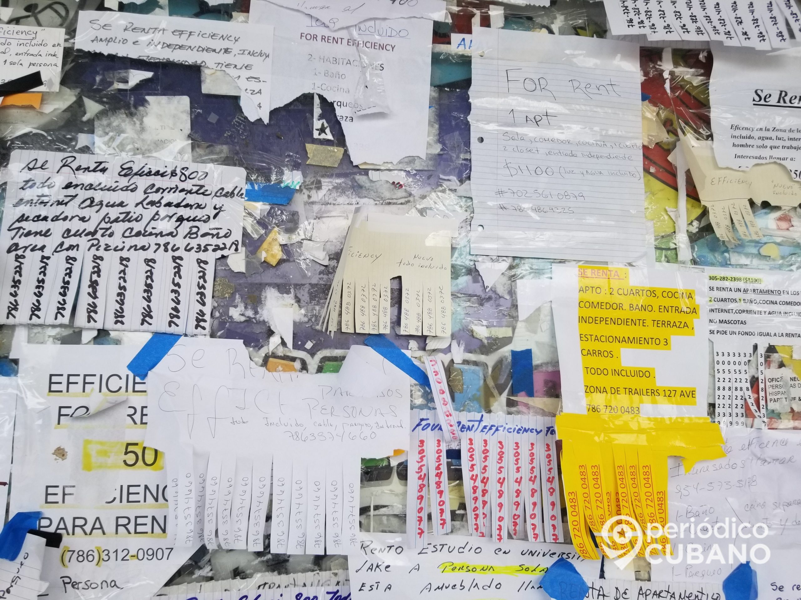 El costo de la renta en Miami aumentó más del 50% en el último año