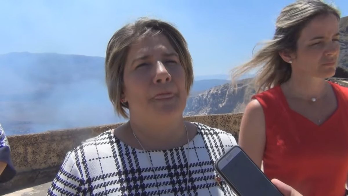 Lis Cuesta Peraza esposa de Miguel Díaz-Canel