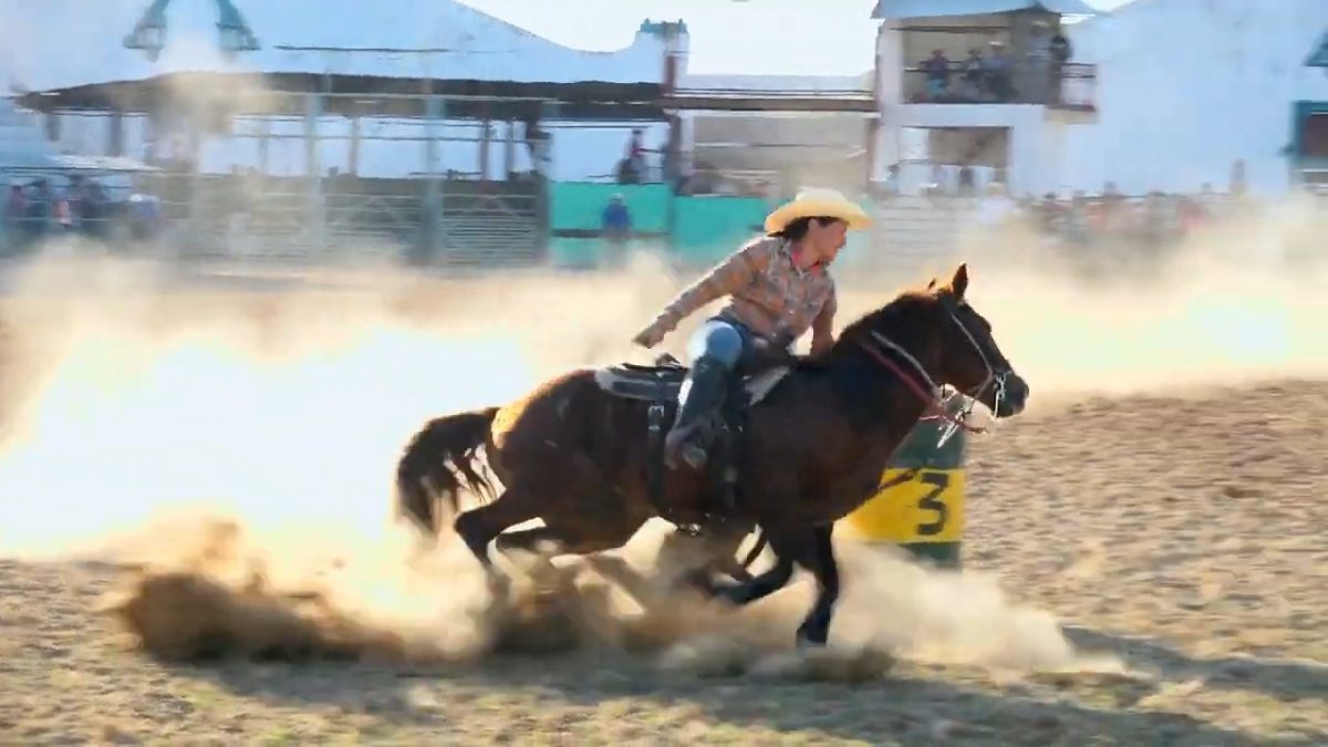 Rodeo Rancho Boyeros