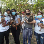 Bienestar Animal de Cuba