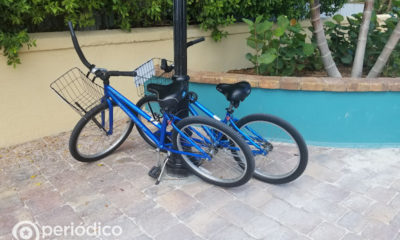 Ciclistas cubanos murieron atropellados en el viaducto Rickenbacker de Miami