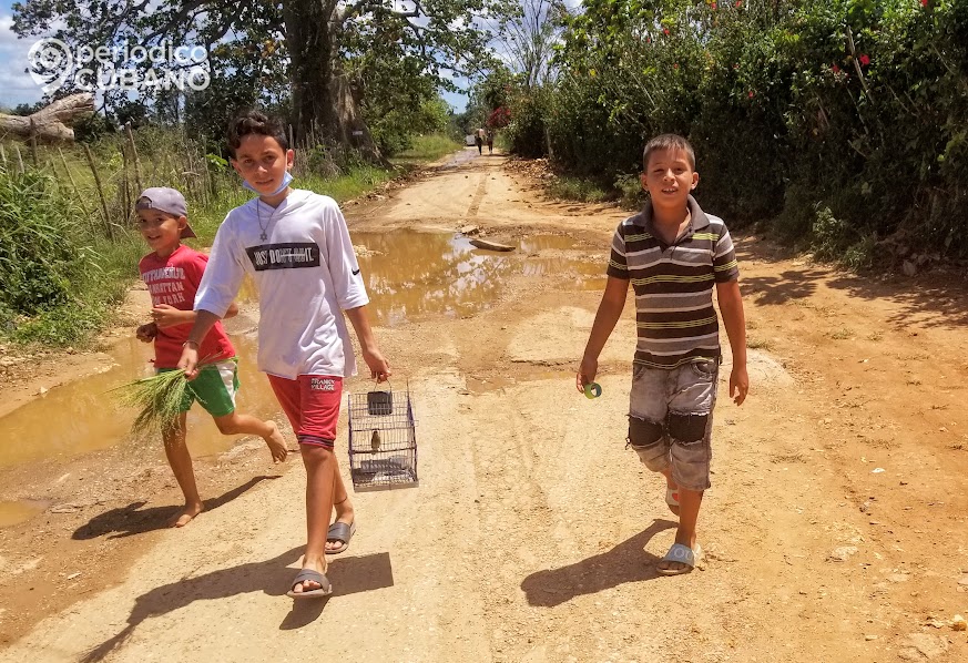 La hepatitis aguda infantil continúa propagándose en el mundo, en los casos más graves se requieren un trasplante de hígado